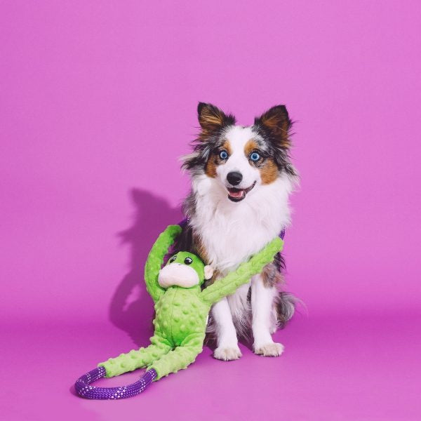 ZippyPaws Monkey RopeTugz Plush Dog Toy, dog with the toy