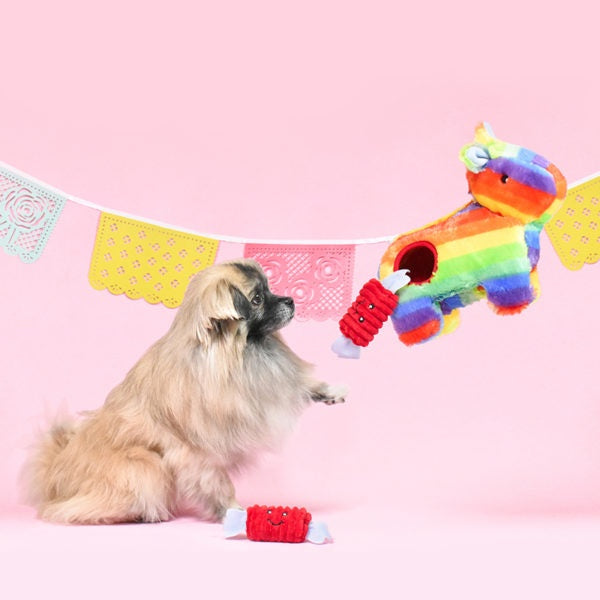 ZippyPaws Zippy Burrow Pinata Puzzle Dog Toy, dog playing with the pinata toy