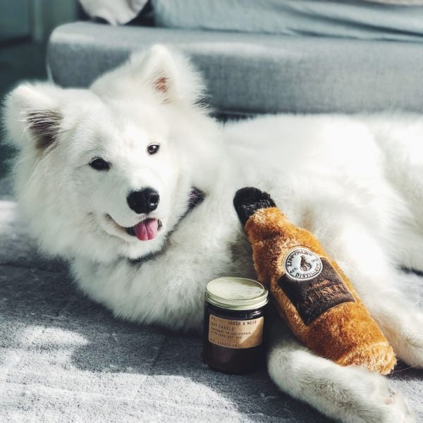 ZippyPaws Happy Hour Crusherz Whiskey Plush Dog Toy, dog with the toy
