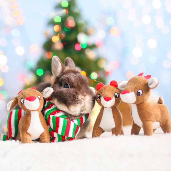 ZippyPaws Miniz Reindeer 3-Pack Plush Dog Toys, reindeer toys under a Christmas tree