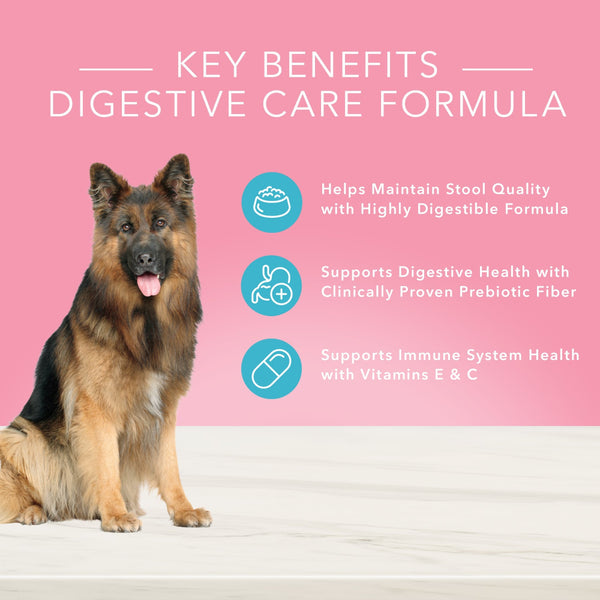 Blue Buffalo True Solutions Blissful Belly Natural Digestive Care Chicken Recipe Adult Dry Dog Food