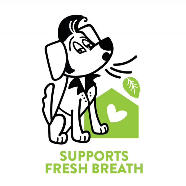 Shameless Pets Blueberried Treasure Soft-Baked Dog Treats, supports fresh breath graphic