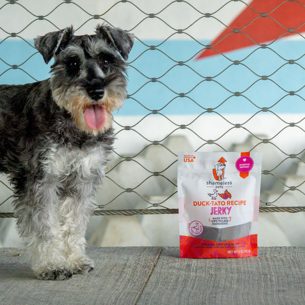Shameless Pets Duck-Tato Bite Sized Jerky Dog Treats, dog with the package