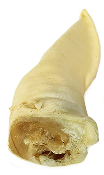 Scoochie Pet Lamb Ear Dog Chews