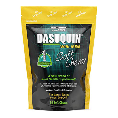 Dasuquin with msm soft chews for large dogs 2025