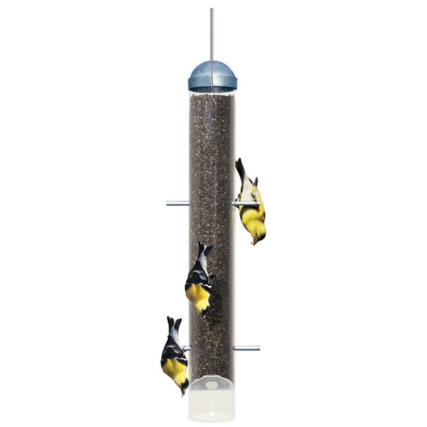 Perky Pet Deluxe Upside Down Metal Bird Feeder