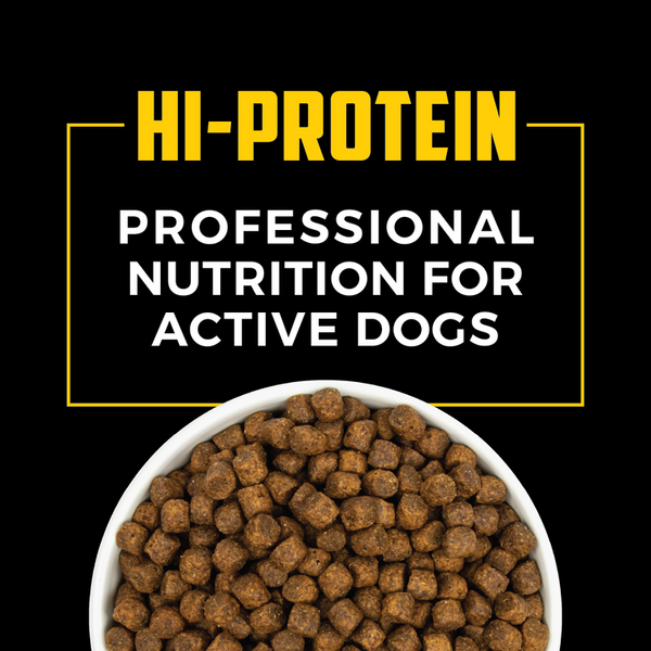 Field Master Field Master 30/20 Hi-Protein Chicken & Barley Recipe Dry Dog Food