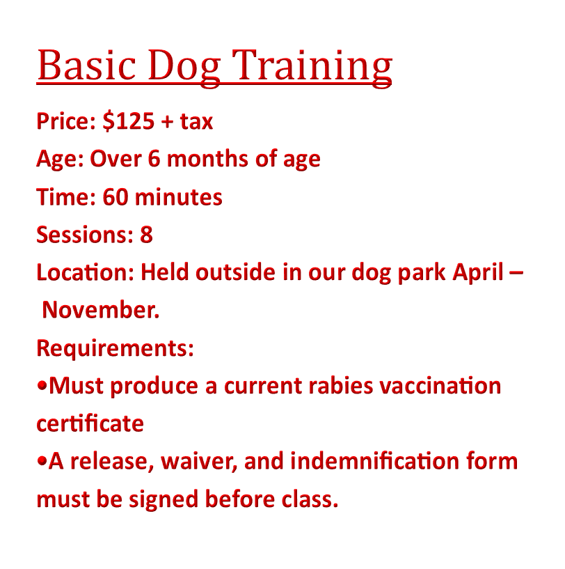 Puppy training prices 2025