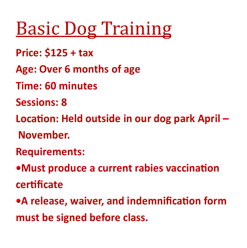 Basic Obedience Training Class