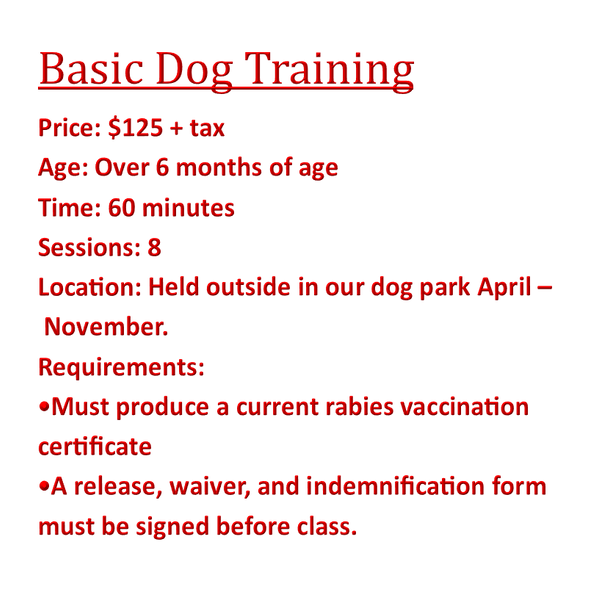 Basic Obedience Training Class