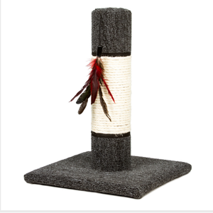 Cat Post with Feather