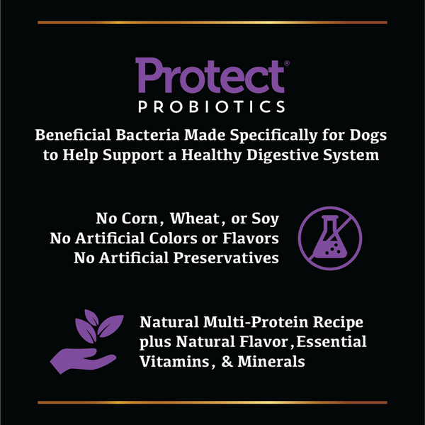 Field Master Grain Free Chicken & Sweet Potato Recipe Dry Dog Food