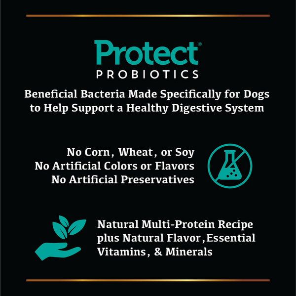 Field Master Grain Free Salmon & Sweet Potato Recipe Dry Dog Food