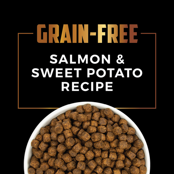 Field Master Grain Free Salmon & Sweet Potato Recipe Dry Dog Food