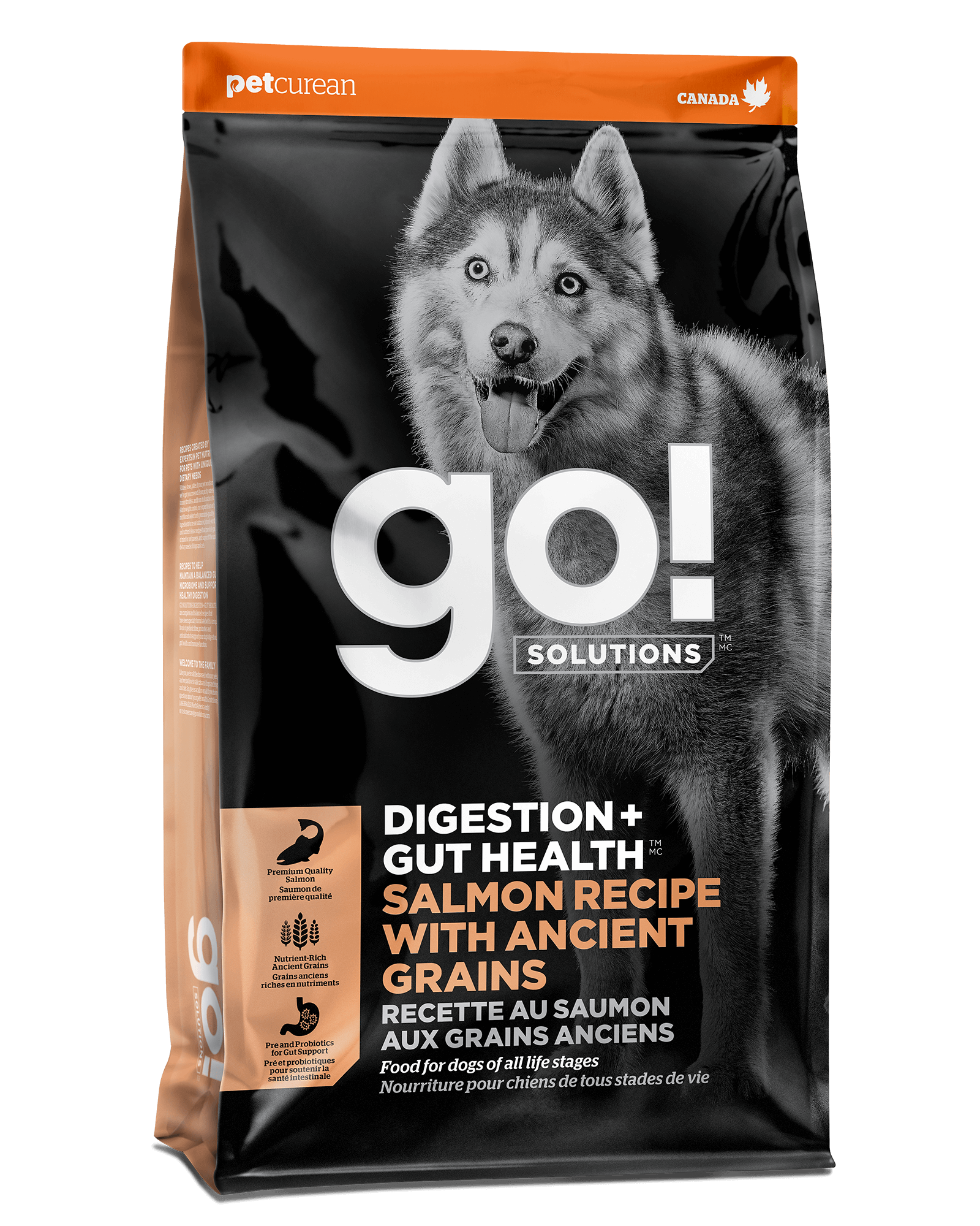 Petcurean GO! Solutions Digestion + Gut Health Salmon with Ancient Grains Recipe Dry Dog Food