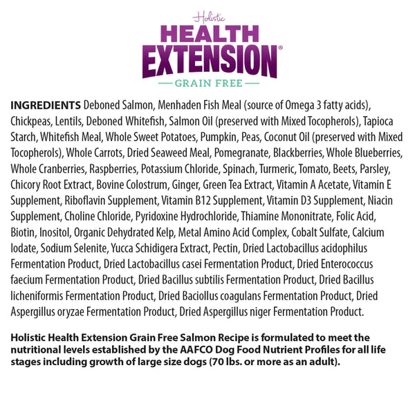 Health Extension Grain Free Salmon Dry Dog Food