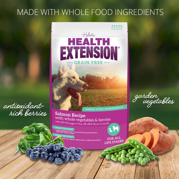 Health Extension Grain Free Salmon Dry Dog Food