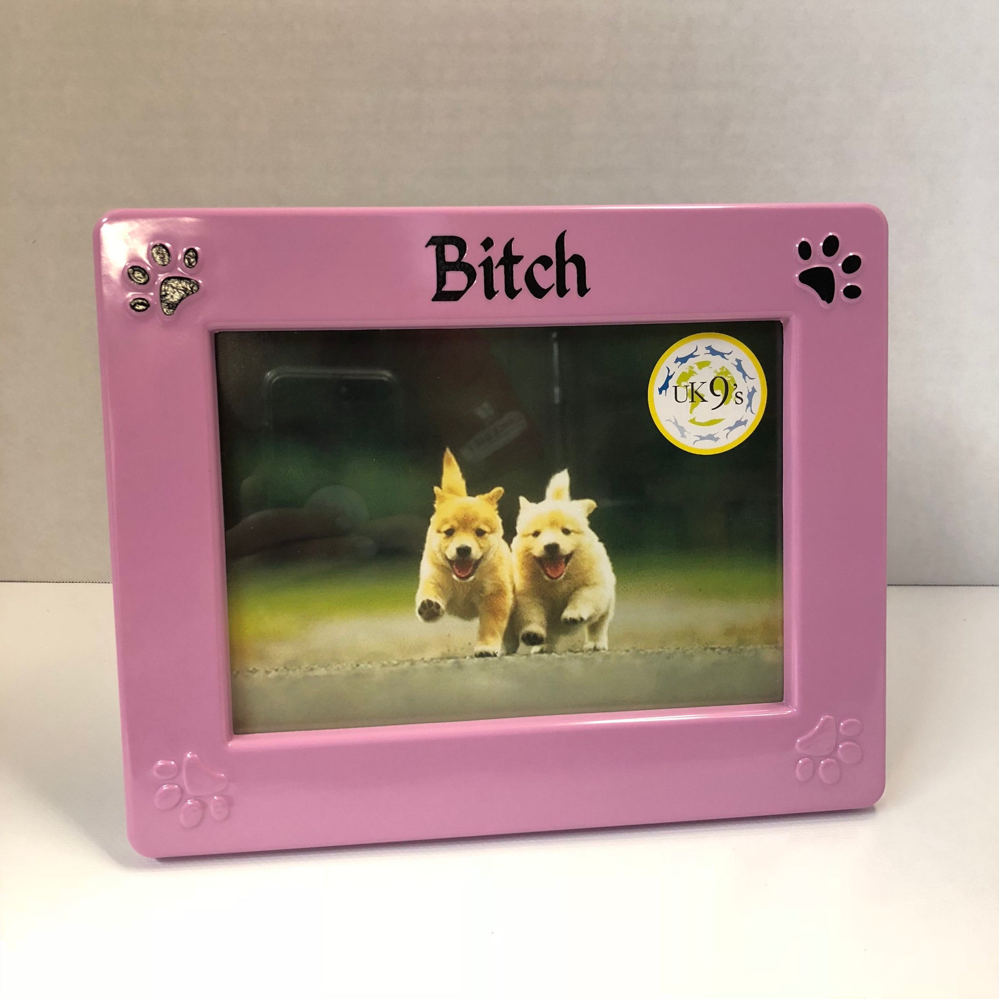 Melamine Rectangle Picture Frame 5"x7" Pink "Bitch"