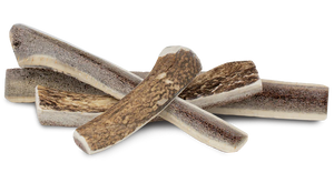 Primal Stag Antler Dog Chew
