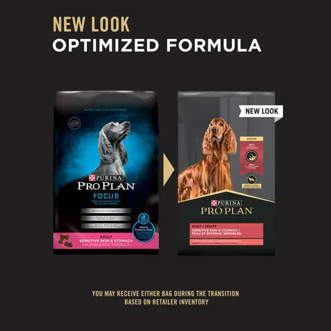 Pro plan on sale focus adult