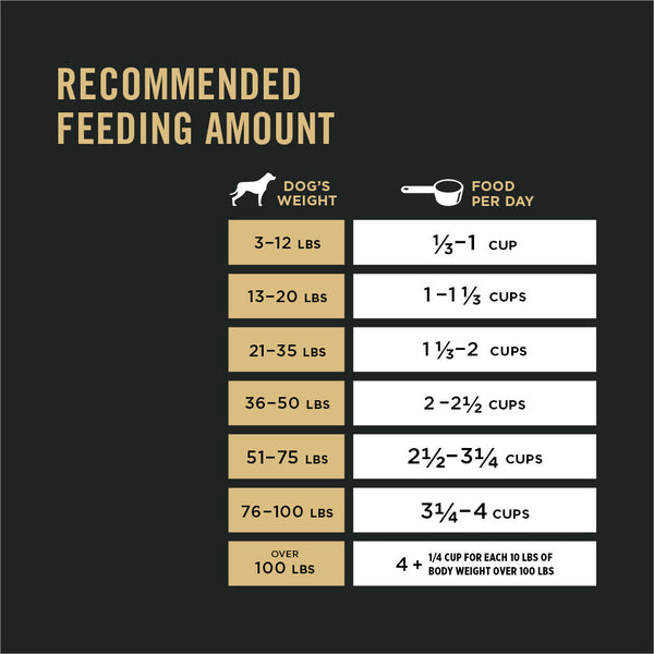Pro Plan Adult Sensitive Skin & Stomach Salmon & Rice Large Breed Dry Dog Food