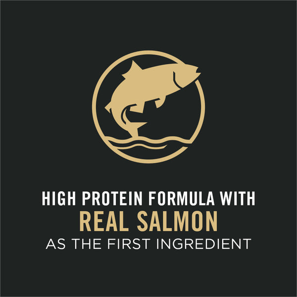 Pro Plan Adult Sensitive Skin & Stomach Salmon & Rice Large Breed Dry Dog Food