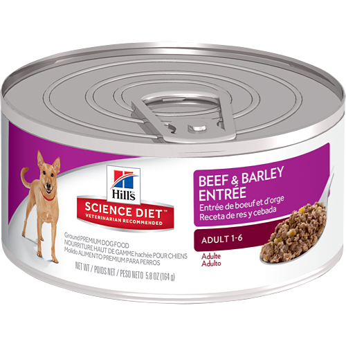 Science Diet Adult Beef Entree Wet Dog Food