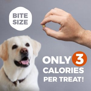 Field Master Perfect Partner™ Training  Dog Treats