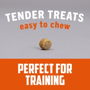 Field Master Perfect Partner™ Training  Dog Treats