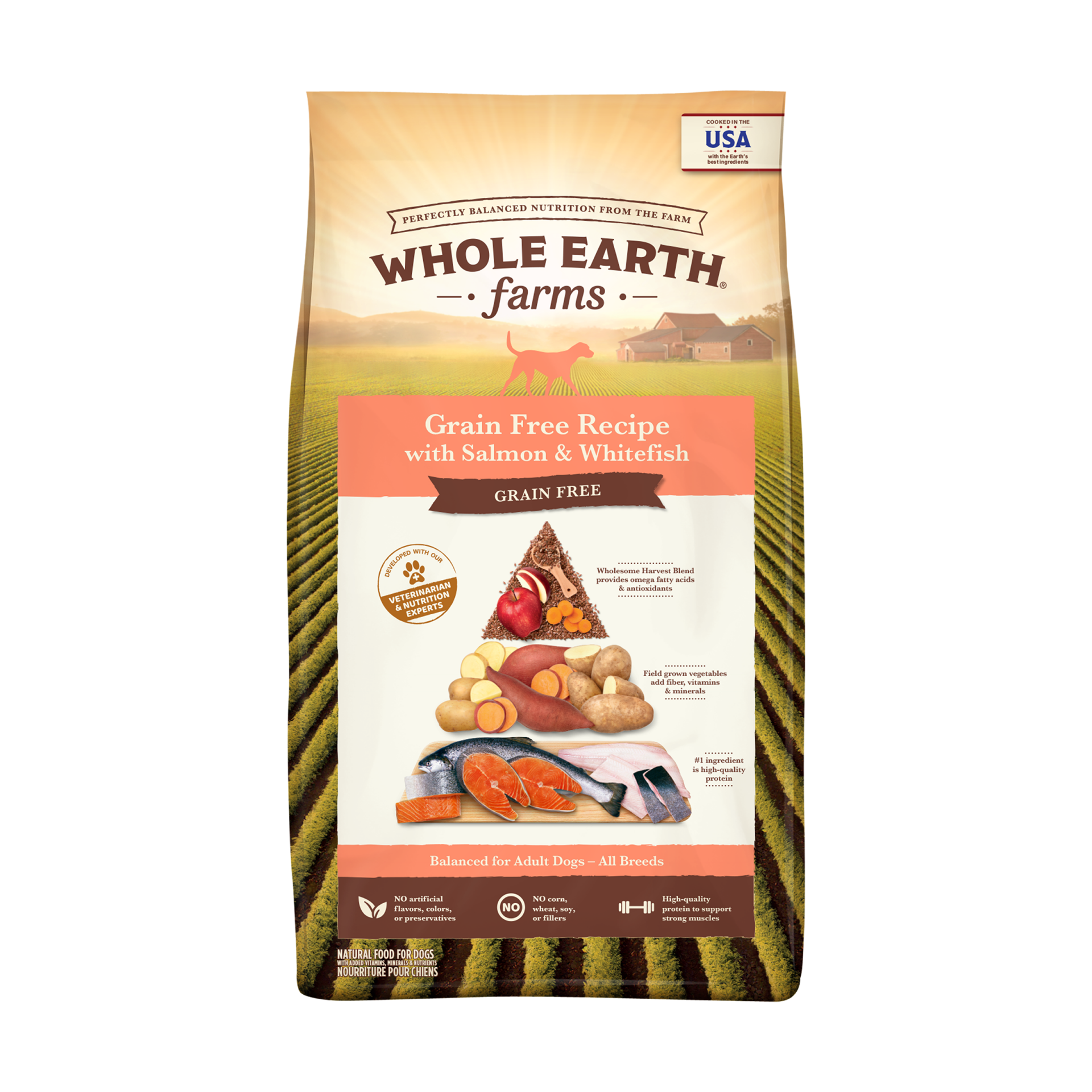 Salmon and grain clearance dog food