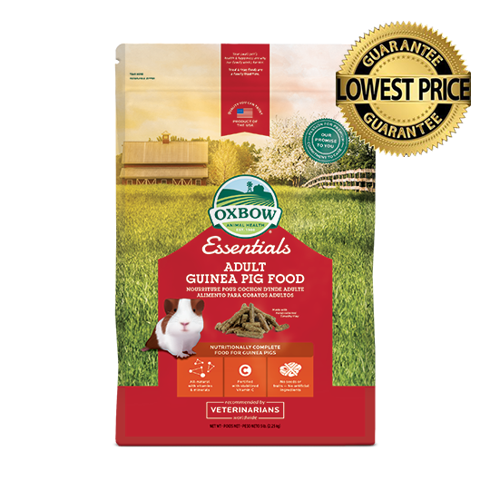 Guinea pig food price sale