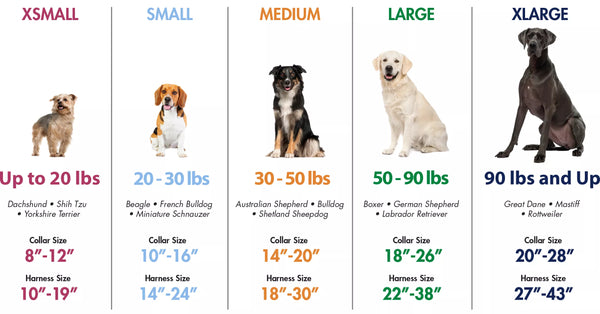 Coastal Collar sizing