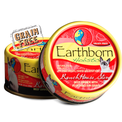 Earthborn holistic deals wet cat food