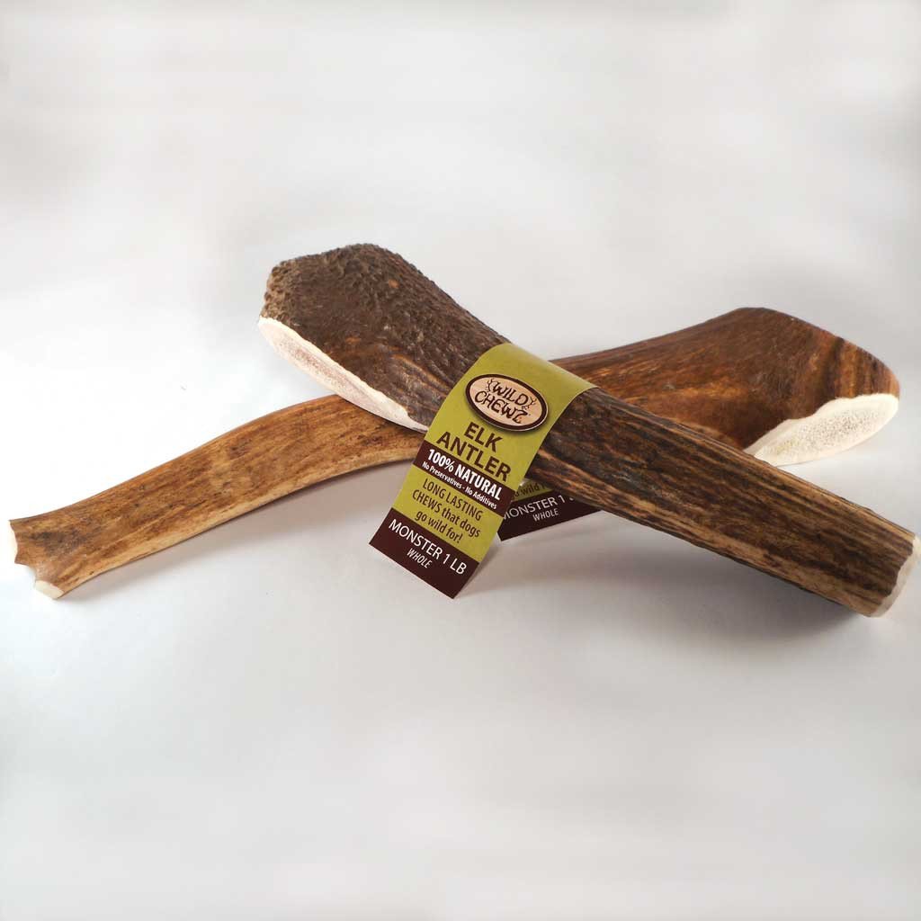 Wild Chewz Monster Elk Antler Dog Chew