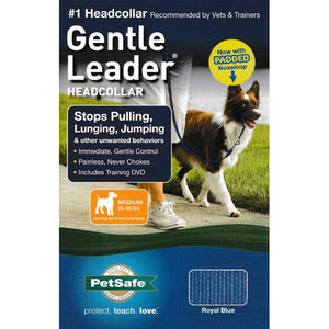 Premier gentle leader clearance head dog collar