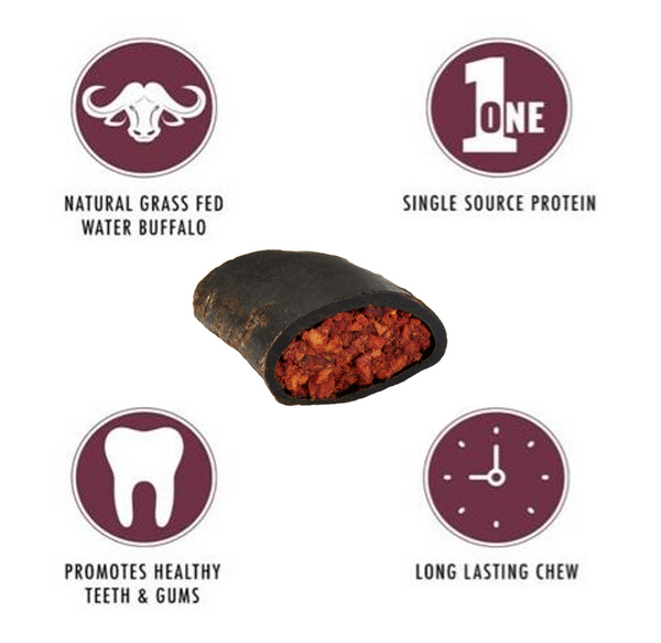 Wild Eats Water Buffalo Horn with Pizzle Dog Chew