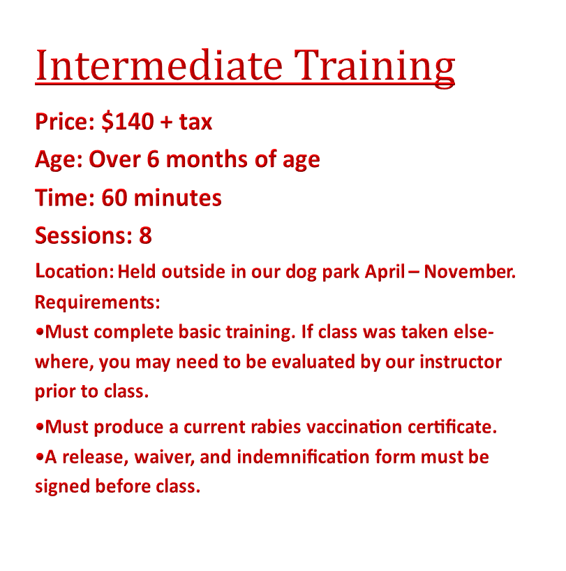 Intermediate Training Classes