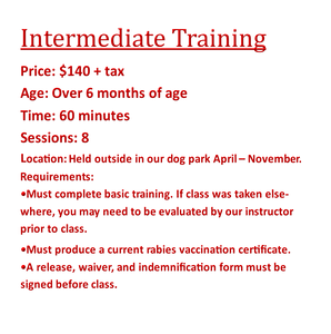 Intermediate Training Classes