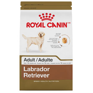 Royal Canin Maxi Labrador Retriever Dry Dog Food