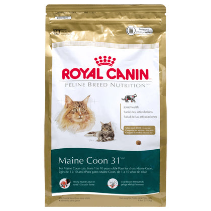 Royal Canin Feline Maine Coon 31 Dry Cat Food