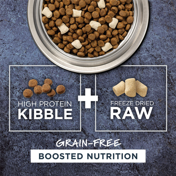 Nature's Variety Instinct Raw Boost Grain Free Recipe with Real Salmon Natural Dry Dog Food