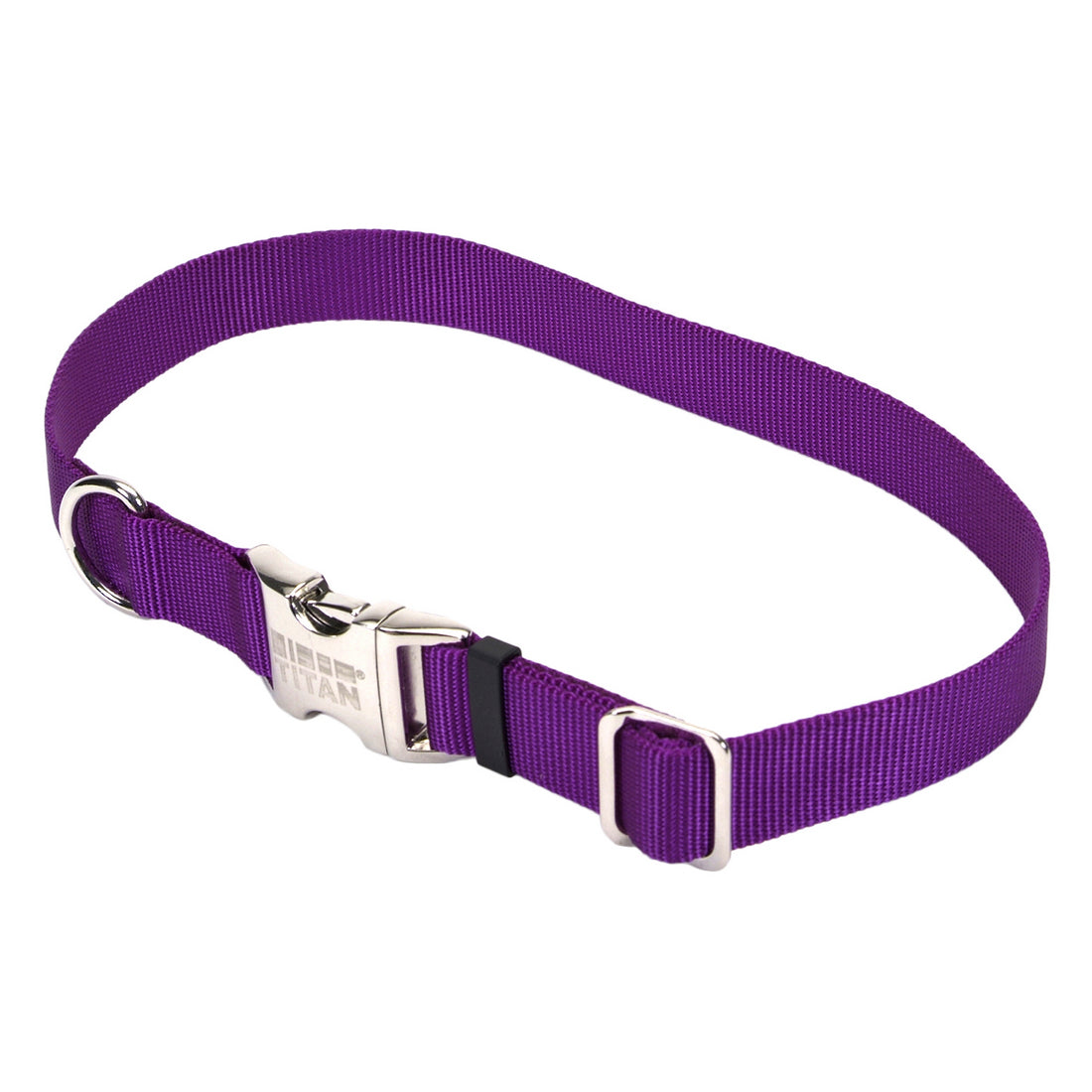 Coastal Adjustable Nylon Collar with Metal Buckle Large Purple
