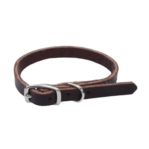 Coastal Circle T Latigo Leather Town Dog Collar