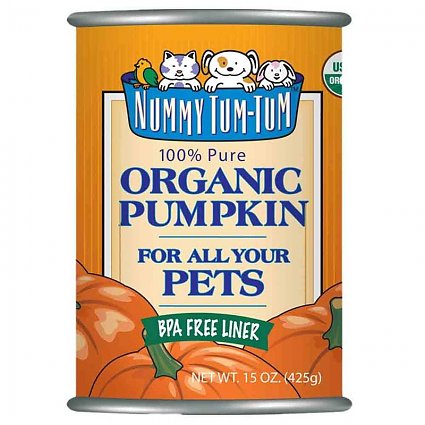 Nummy Tum Tum Organic Pumpkin