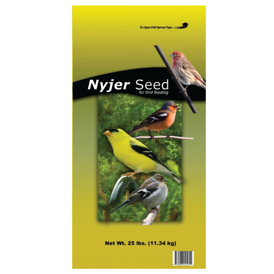 Nyjer 