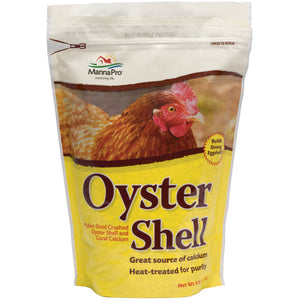 Oyster Shells 