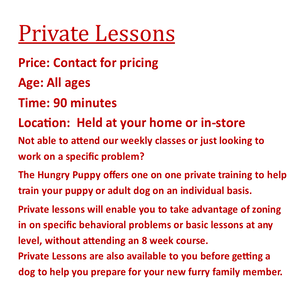 Private Training Lessons