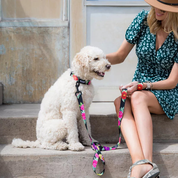 Coastal Wolfgang Dark Floral Collar or Leash