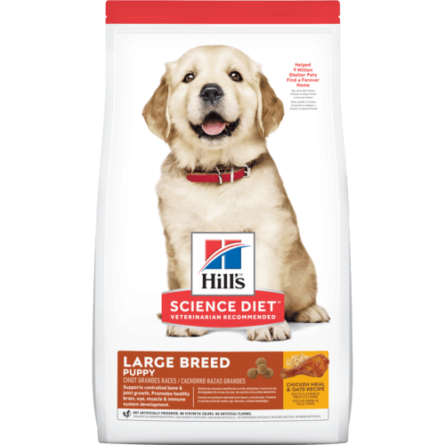 Science Diet Puppy Large Breed Chicken Meal & Oats Recipe Dry Dog Food