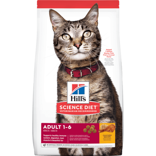 Science Diet Adult Chicken Recipe Dry Cat Food